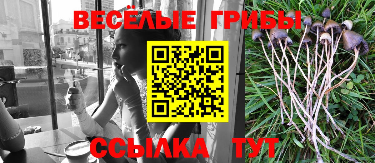 Можга  Псилоцибиновые грибы Psilocybine cubensis  Вход с VPN  Галлюциногенные грибы ЛСД 