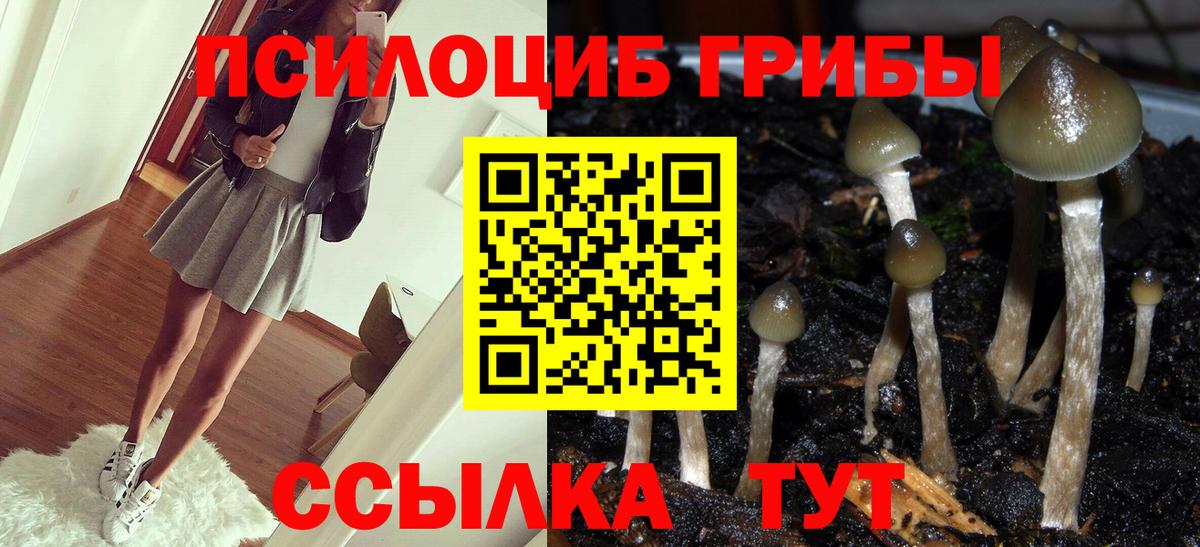 Галлюциногенные грибы прущие грибы Можга